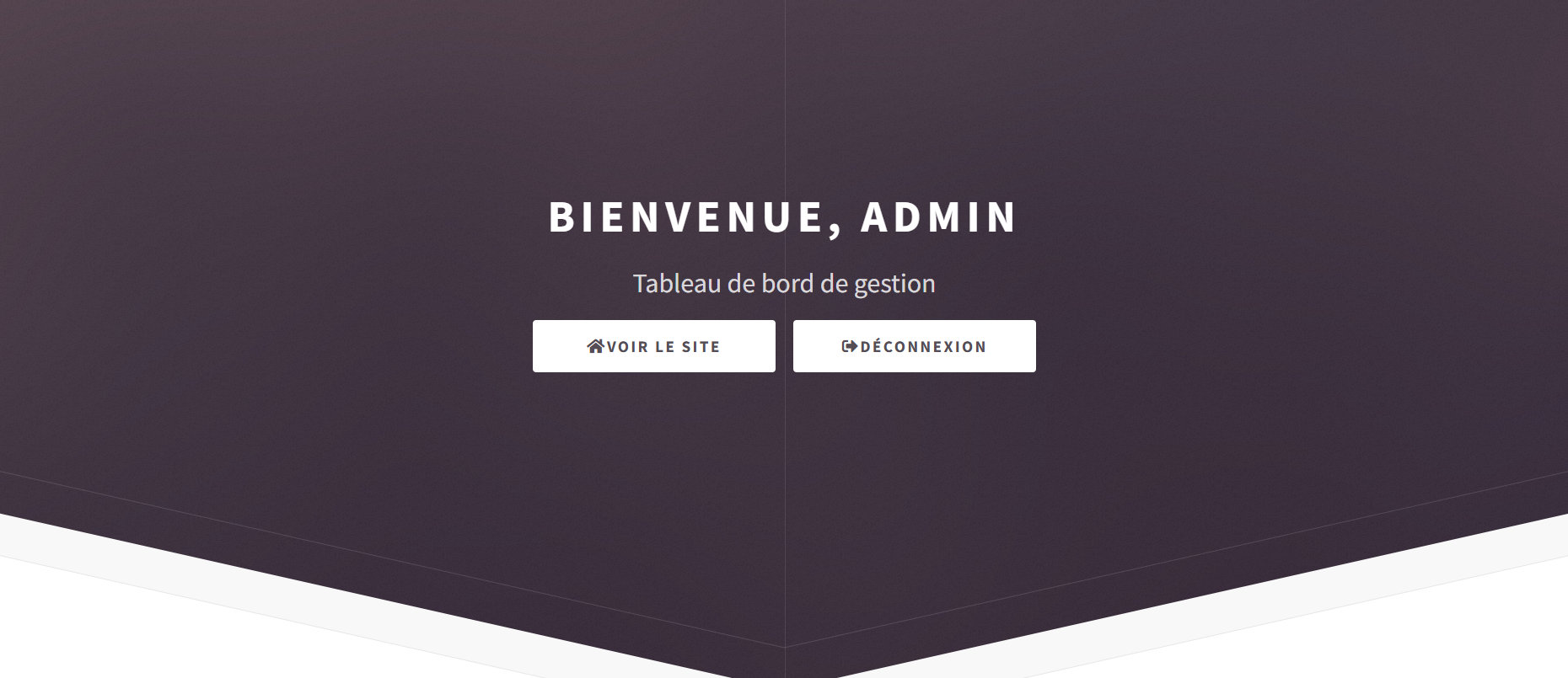 SAÉ 401 • Portfolio Dynamique